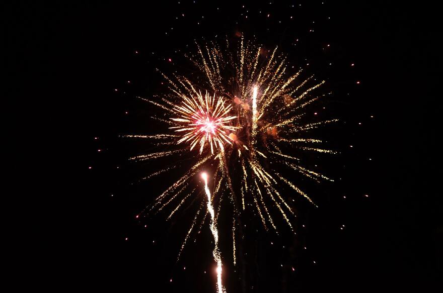 Bright white sparks light up a dark nigh sky above the lit up neon Rose Bowl Sign. Half of the fireworks are obscured by the lush silhouette of palm trees and bushy tree branches.