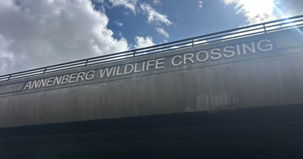Wildlife Crossing How to celebrate the December grand opening