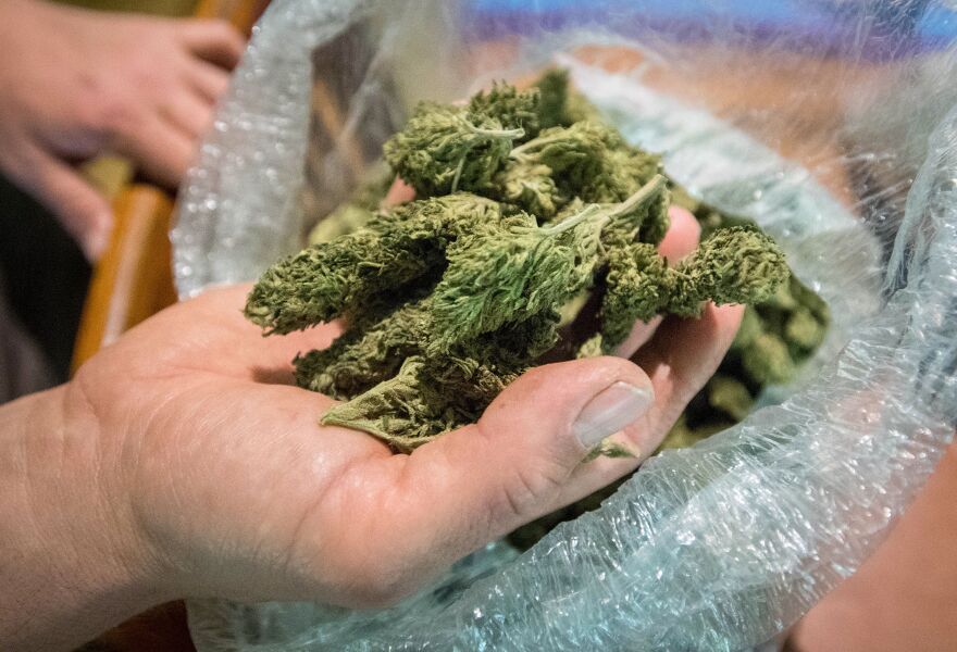 Can veterans be penalized for using pot? Answer is hazy | KPCC - NPR News for Southern California - 89.3 FM