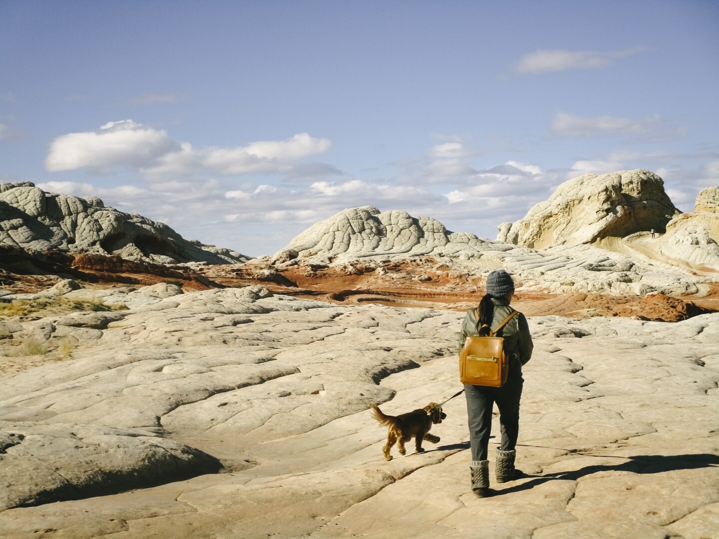 In this image, an adult is shown walking a dog across a rocky desert landscape.