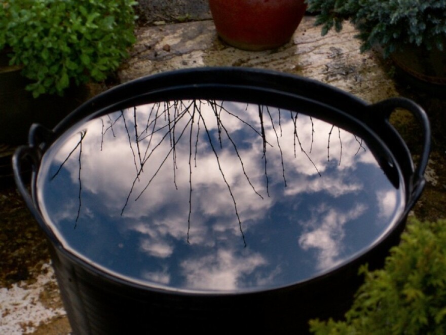Water collects in a barrel and reflects the sky