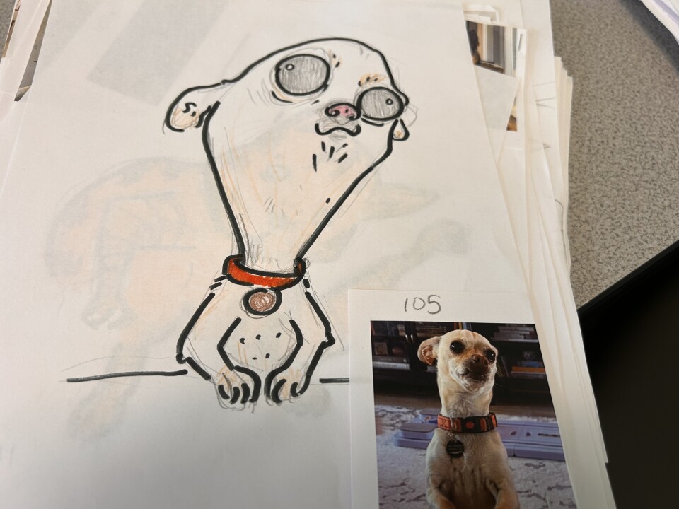 A hand drawn portrait of a chihuahua with a huge head and round eyes. The real picture of the tan dog is stapled to the bottom right hand side of the paper. 