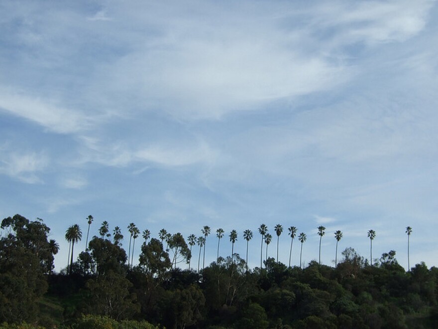 elysianpark.jpg