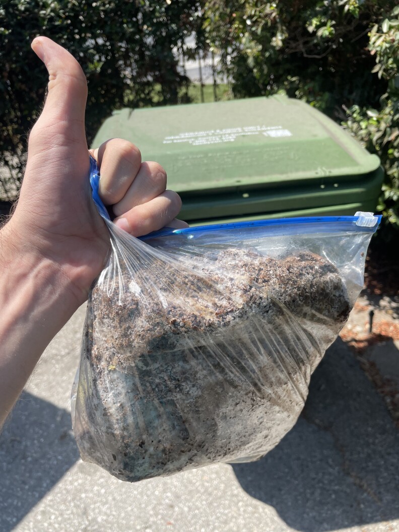 A hand making a thumbs-up sign holds up a Ziploc bag full of mostly coffee grounds. In the background, a green bin meant for organic waste.