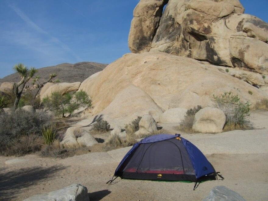joshua-tree-camping.jpg