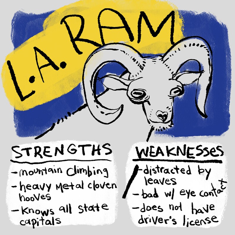 CARD ram.jpg
