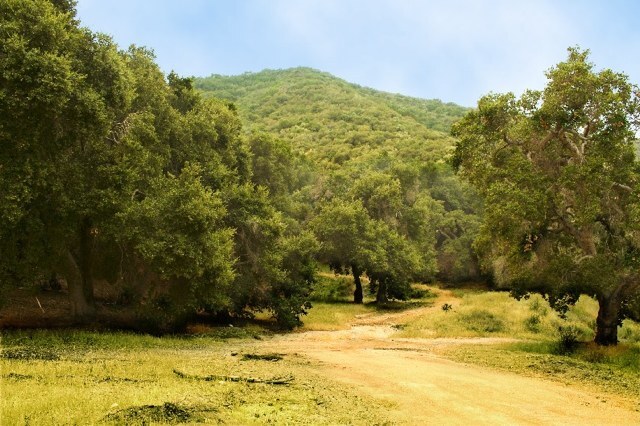 walkerranch.jpg