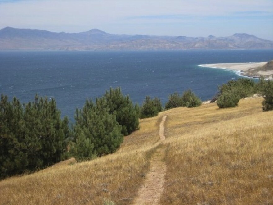 torreypines2.jpg