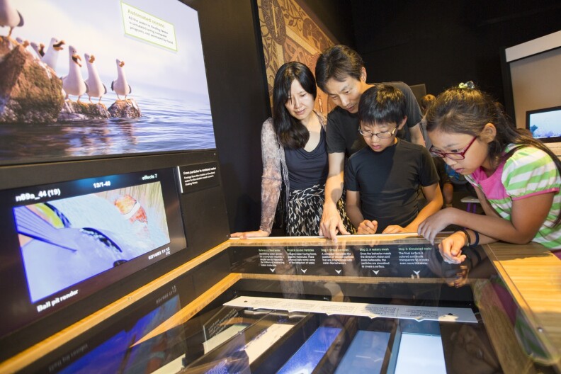 Visitors examine how a water simulation is developed.