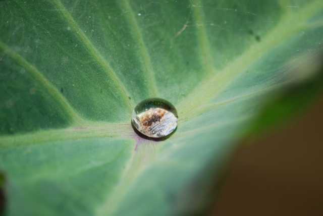 drop_of_water.jpg