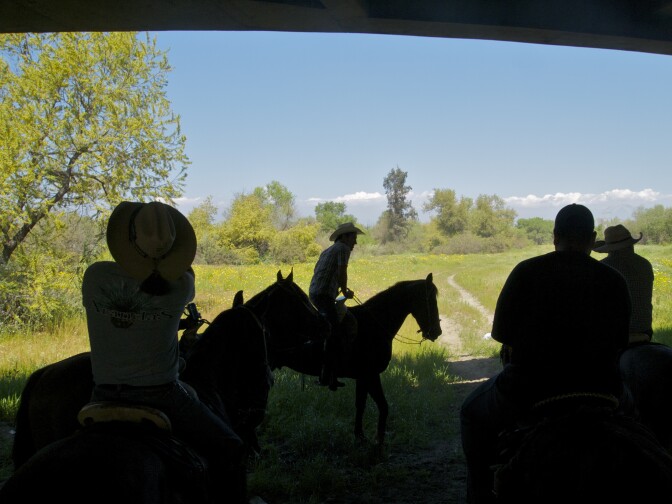 Passing under a bridge during a ride.