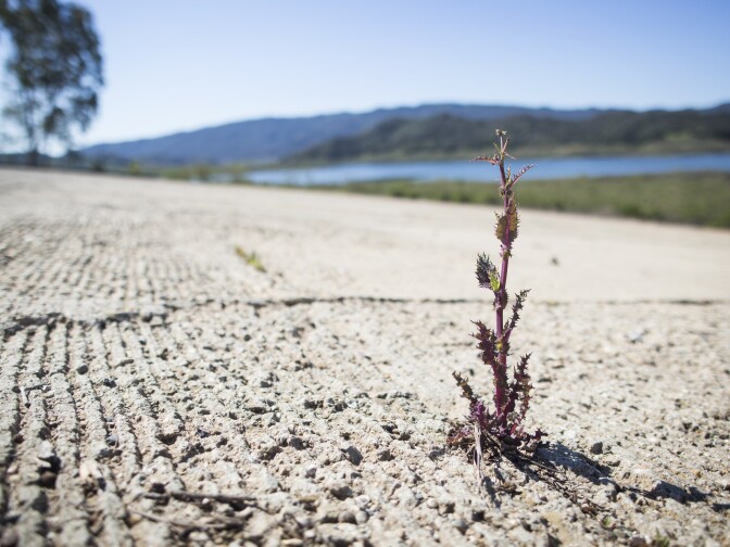 A boat ramp at Lake Casitas in Ventura, Calif. is exposed on Thursday, Mach 23, 2017. The lake is currently below 44 percent capacity, about 70 feet under its usual water level.