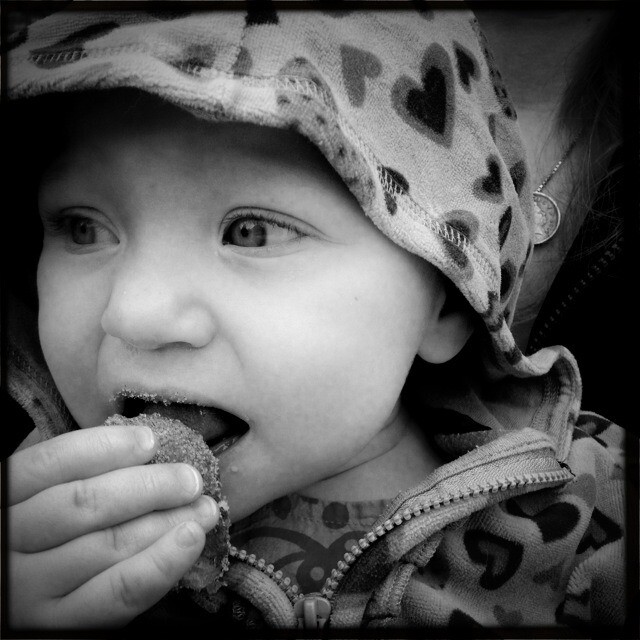 "Day 2 - donuts at the Oak Park Farmers Market" from former Sun-Times photographer Rob Hart's Tumblr, Laid Off From The Sun-Times.