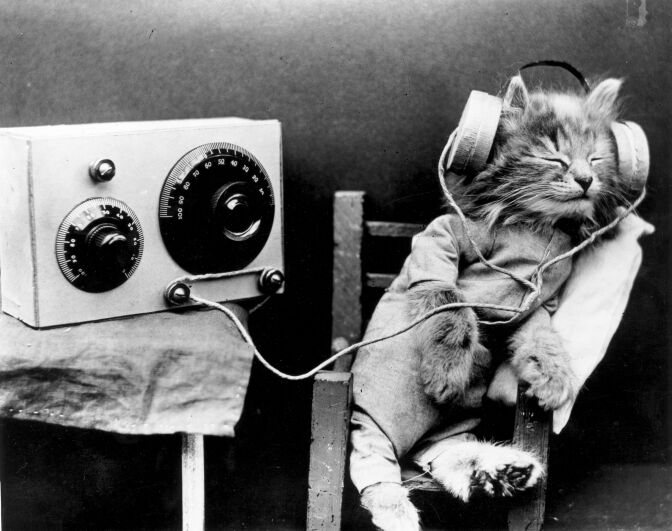 January 1926:  A cat wearing headphones to listen to a radio.  (Photo by Monty Fresco/Topical Press Agency/Getty Images)