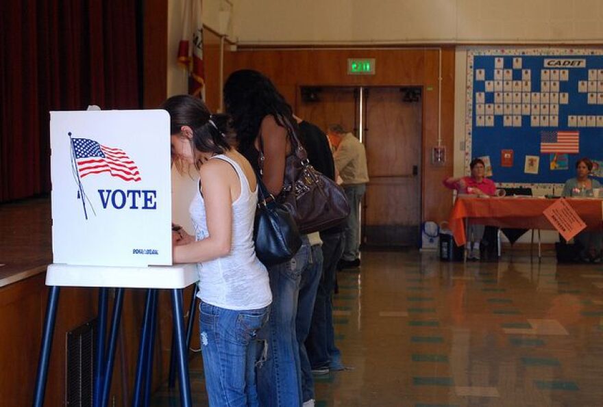 votinginLA.jpg