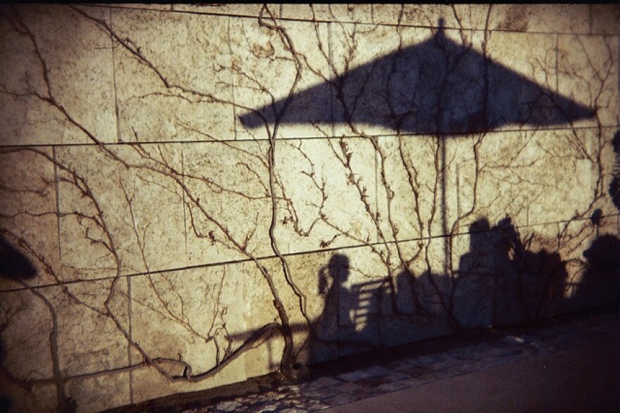 shadow.jpg