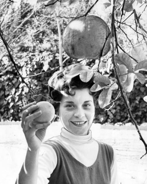 A black and white photo of a light skinned woman smiling into the camera. She is holding a large lemon in her hand, underneath the branches and leaves of a lemon tree