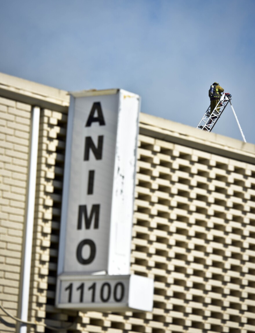 A structure fire at the Animo South Los Angeles Charter High School Tuesday afternoon caused a roof collapse and large response from the Los Angeles County Fire Department. 
