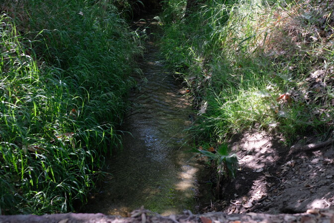 A small creek flows between grassy banks. 