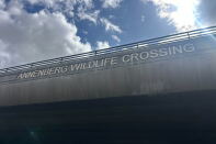 The letters "Annenberg Wildlife Crossing" is etched on the side of a concrete bridge. 