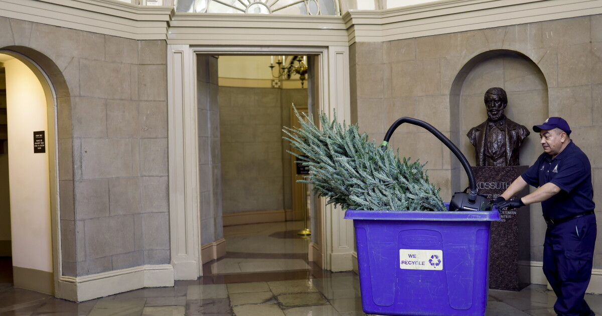 Holiday trash