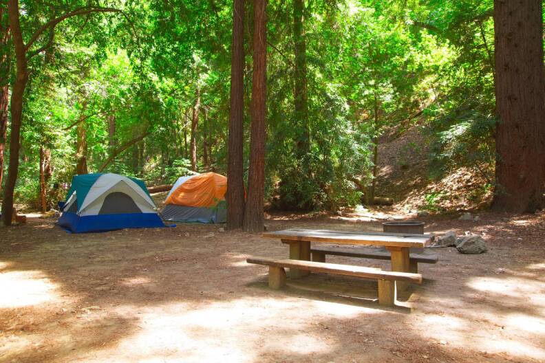 Two tents, one orange and one blue, sit amongst trees. A picnic bench and fire pit are in the foreground