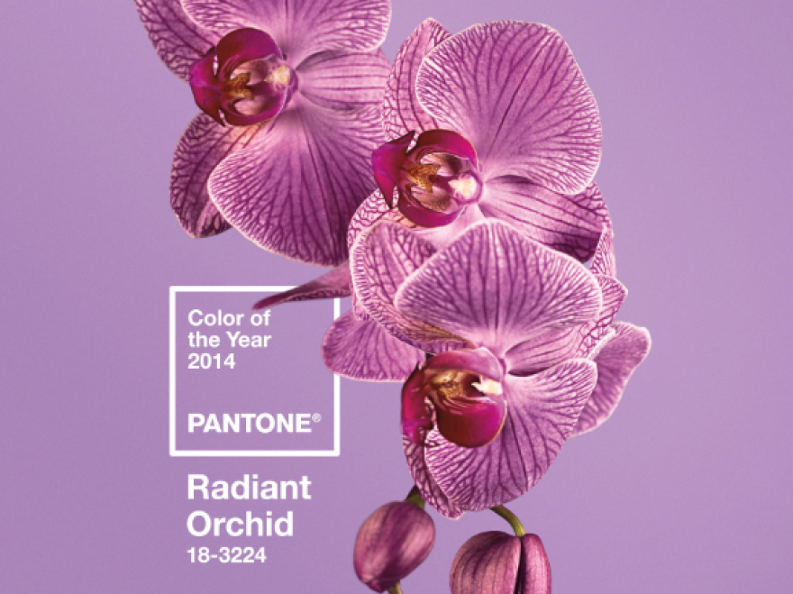 'Radiant Orchid' is Pantone's Color of the Year for 2014.