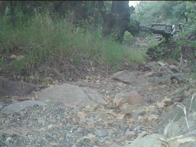 5b2992fb0161a1000dd56599-original.gif