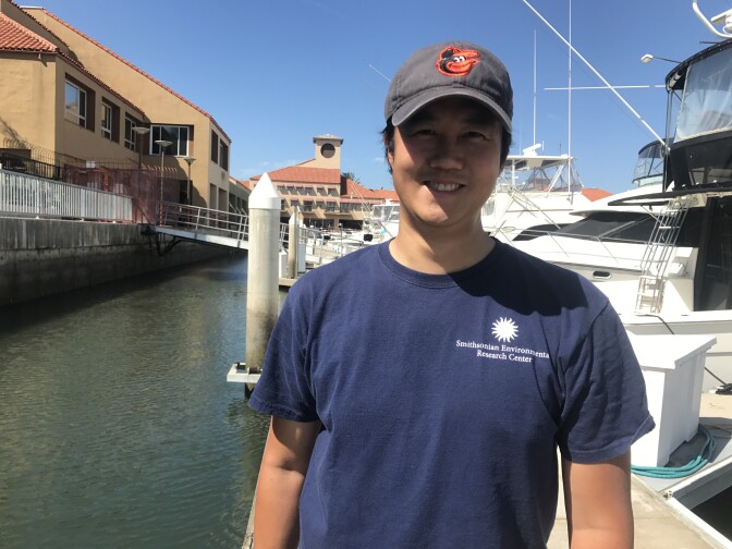 Smithsonian scientist Andy Chang is part of a team surveying 20 local harbors and ports to monitor marine invasive species. 
