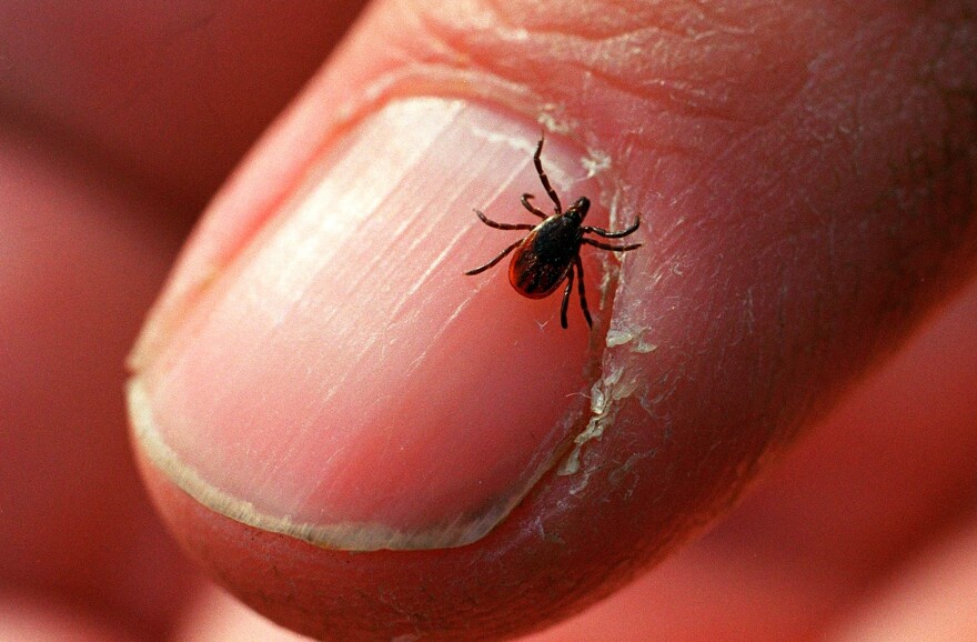 The black-legged or deer tick, which carries Lyme disease, appears to be expanding it's territory.