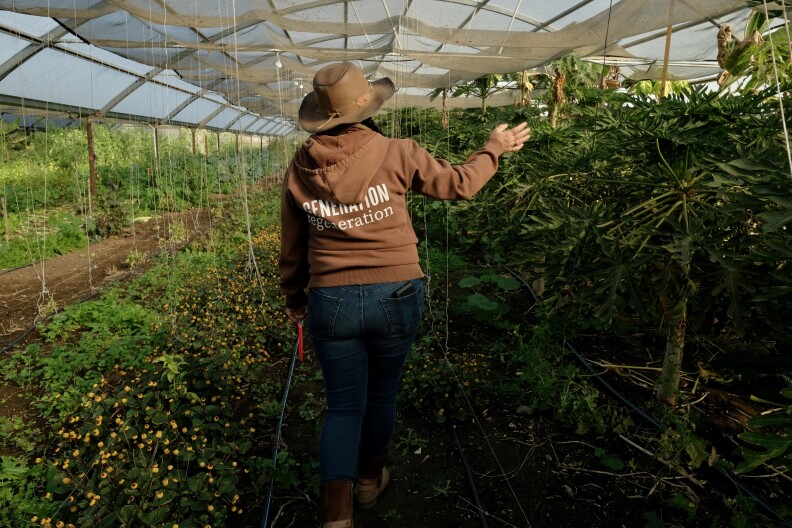 A woman wearing a cowboy hat, jeans and a brown sweatshirt with the words "Generation Regeneration" on the back walks away from the camera in a greenhouse full of green vegetable crops.