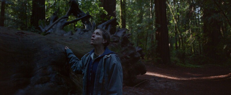 Frances McDormand in the film NOMADLAND. Photo Courtesy of Searchlight Pictures. © 2020 20th Century Studios All Rights Reserved


