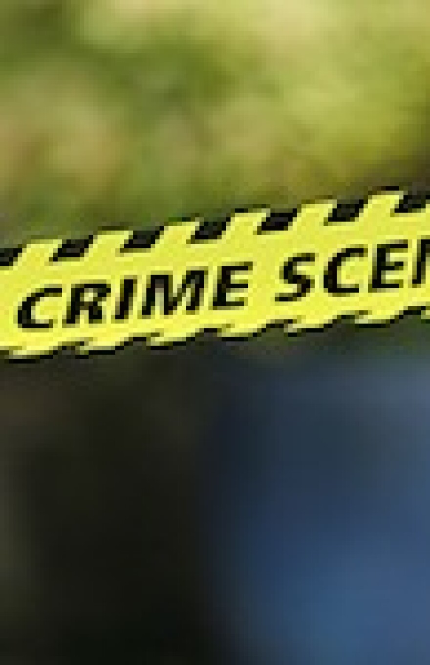 2009homicides2.jpg