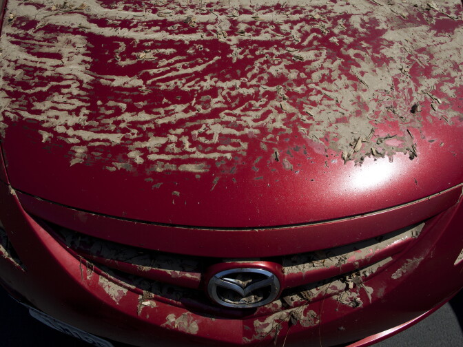 Mud covers a car recovered from a parking garage on the UCLA campus after a broken water main flooded the garage. Hundreds of cars are considered a total loss.