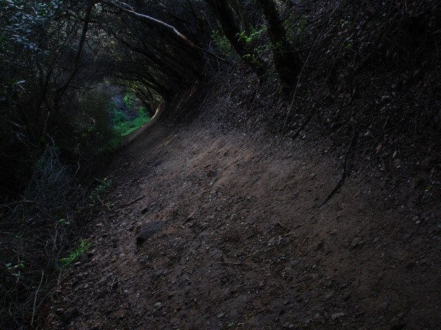 temescal-canyon.jpg