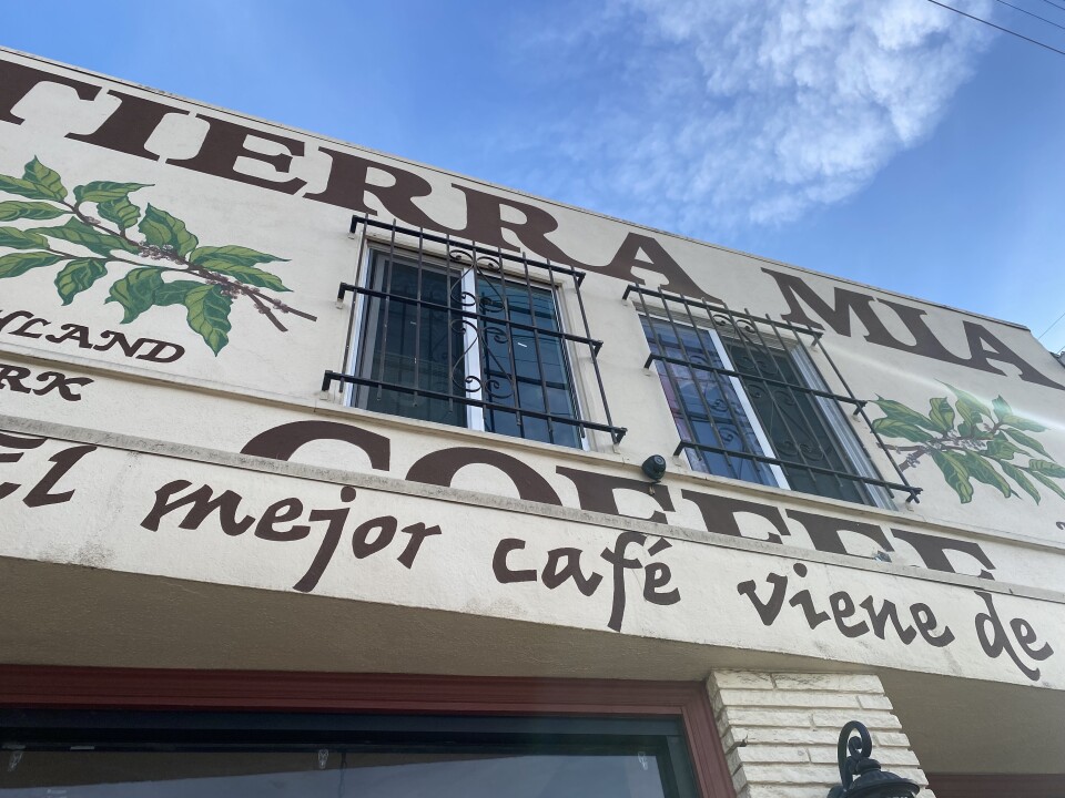 A small, rectangular building reads "Tierra Mia: El mejor café viene de tierra mia." The beige exterior is accented with drawings of coffee bean leaves. 