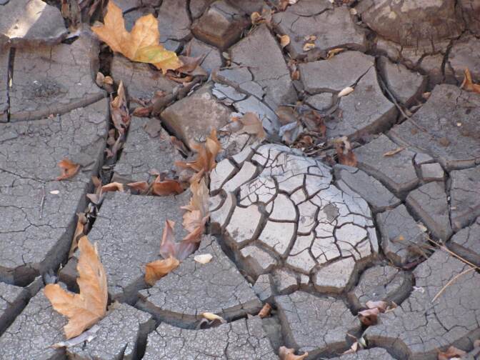 Mud cracks in a drying creek bed. 