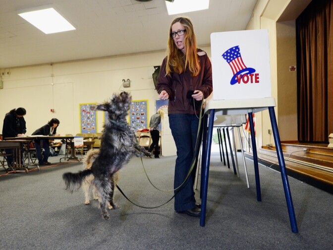 Anna Donlin gives a treat to her dogs Pearl (L) and Walnut after she cast her ballot at Allesandro Elementary School on March 5, 2013 in the Boyle Heights area of Los Angeles.