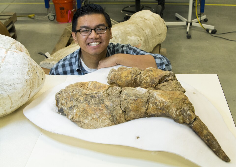 CSUF graduate student Gabriel-Philip Santos and the desmostylian fossil.