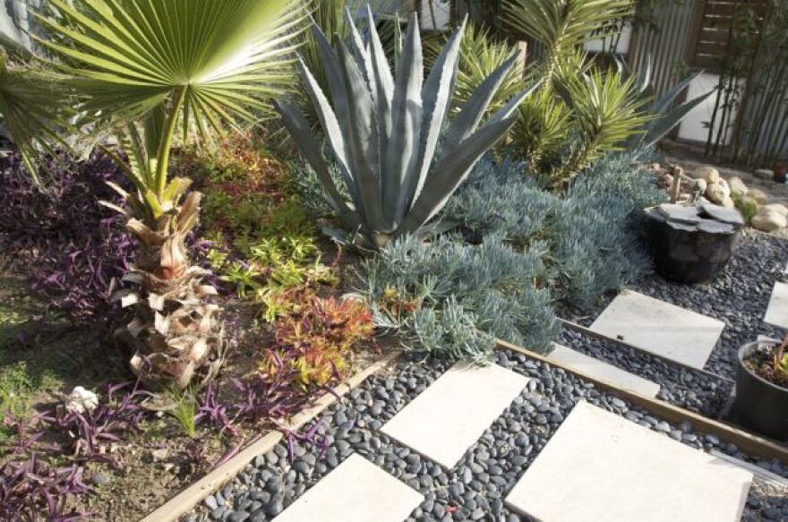 ladwp-drought-resistent.jpg