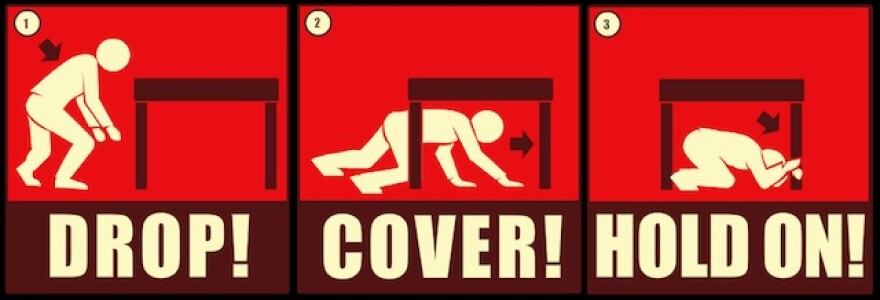 great-shakeout-2010.jpg