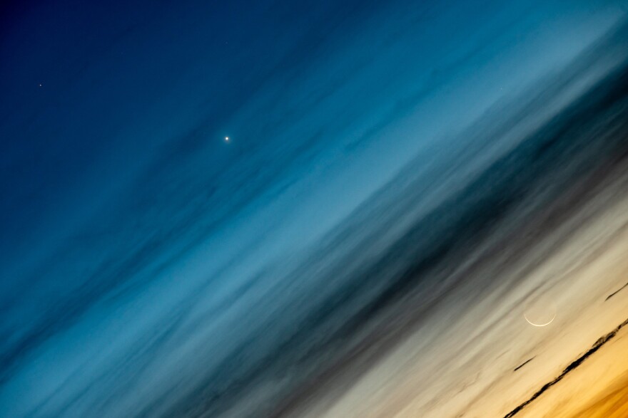 streaks of blue, yellow and black