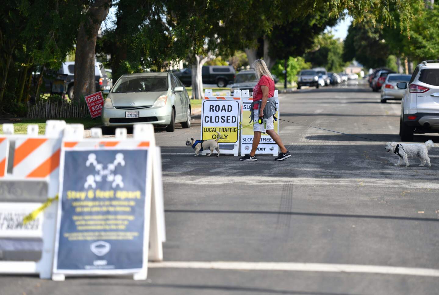 A woman walks two small dogs across a street in Los Angeles as signs alert drivers that the road is for local traffic only and to slow down and share the road.