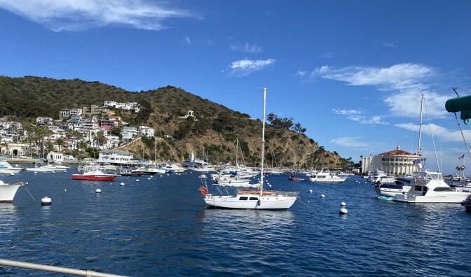 Avalon Harbor on Saturday August 19