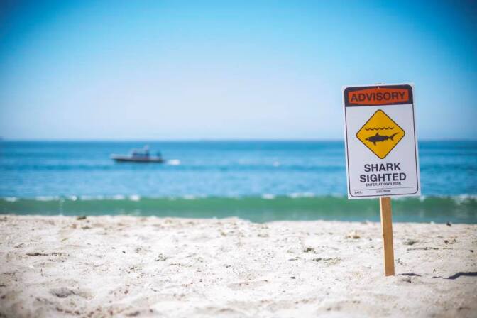 A shark advisory issued by the Long Beach Marine Safety Division.