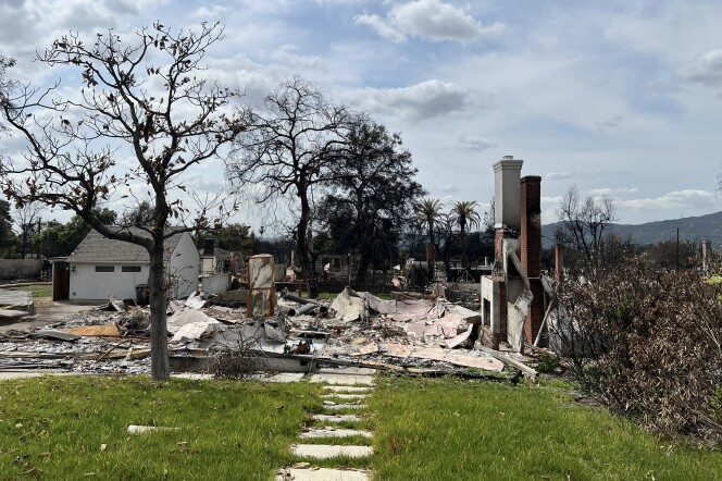 A house in ruins with a burnt tree in front.