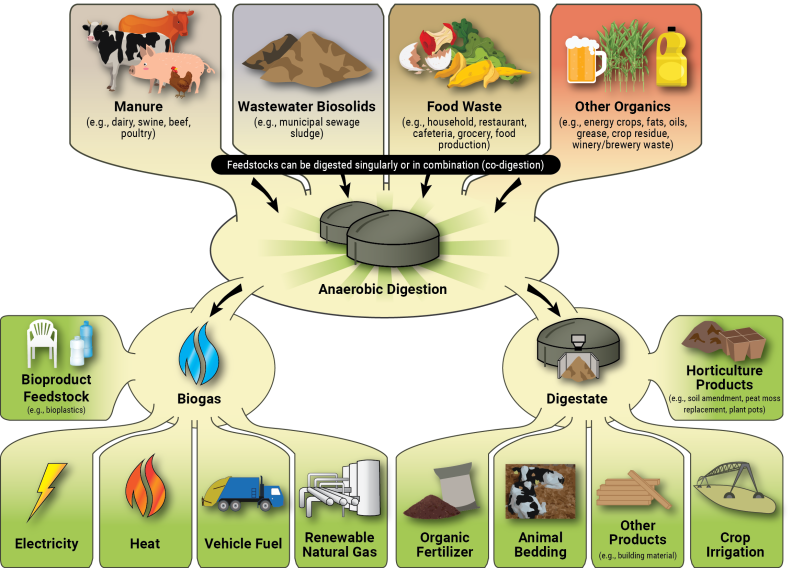 A diagram of how anaerobic digestion works.