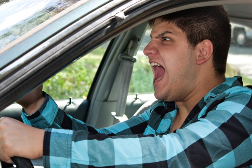 traffic_dude.jpg