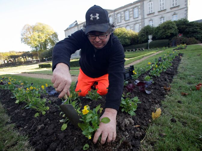 A gardener plants flowers in a park in Gueret, France on November 7, 2017.