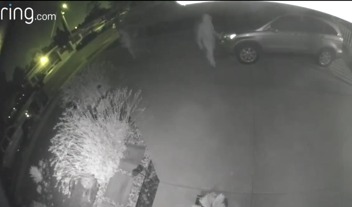 A still from a surveillance video shows two people, both wearing hooded sweatshirts outside the home of L.A. City Council President Nury Martinez.
